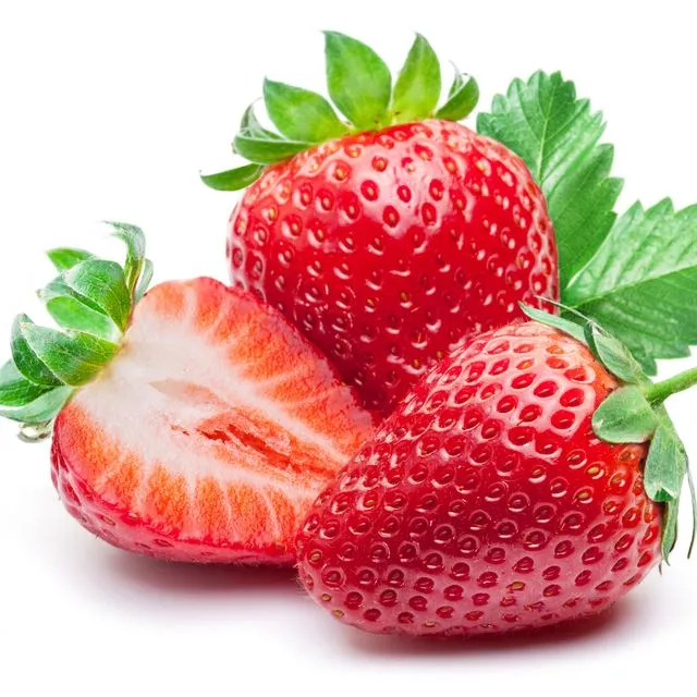 thumbnail for publication: Labor Shortages in the Florida Strawberry Industry
